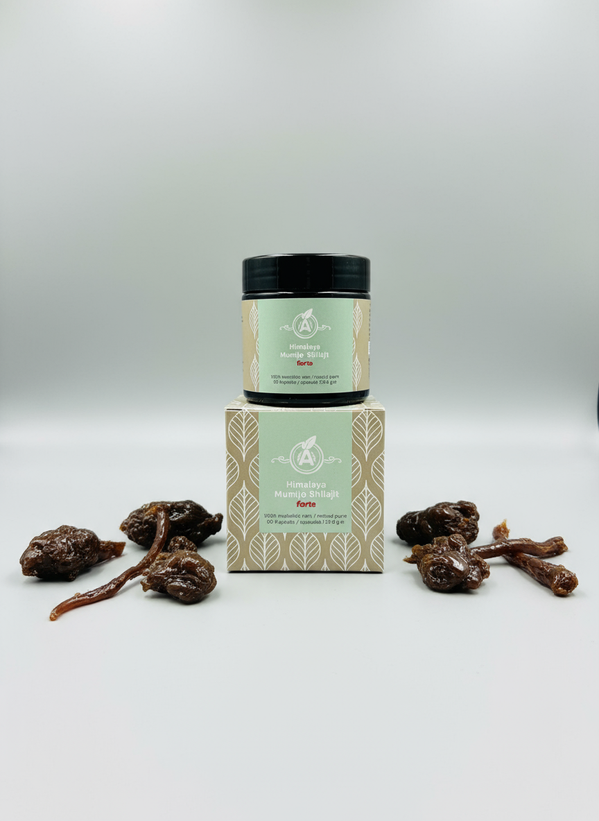 Mumijo-Shilajit-Forte-500mg-ayurveda-paradies-1