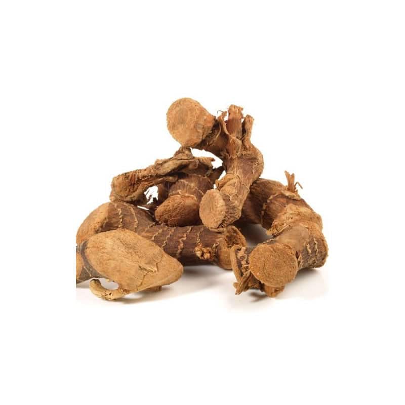 Galgant gemahlen, Bio 30g | Ayurveda Gewürz | Classic Ayurveda